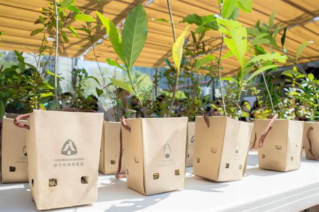 民眾所领养的小树苗，使用由回收纸浆制作的苗盆，可连同树苗一同种进树穴里。（新竹市政府提供／王惠慧新竹传真）