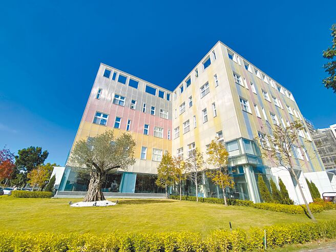 「kafeD台中水湳旗舰店」入口处有一棵高龄近700岁、来自义大利的橄榄树，是目前台湾在开放空间能看到树龄最长的橄榄树。（冯惠宜摄）