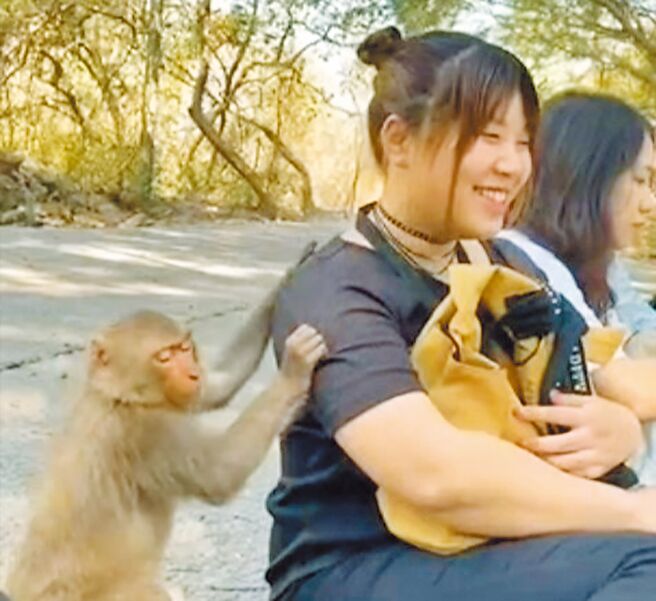 日本人间环境大学交换生，来台进行为期3周的交流，更上山与猕猴接触。（高雄医学大学提供／杨舒婷高雄传真）