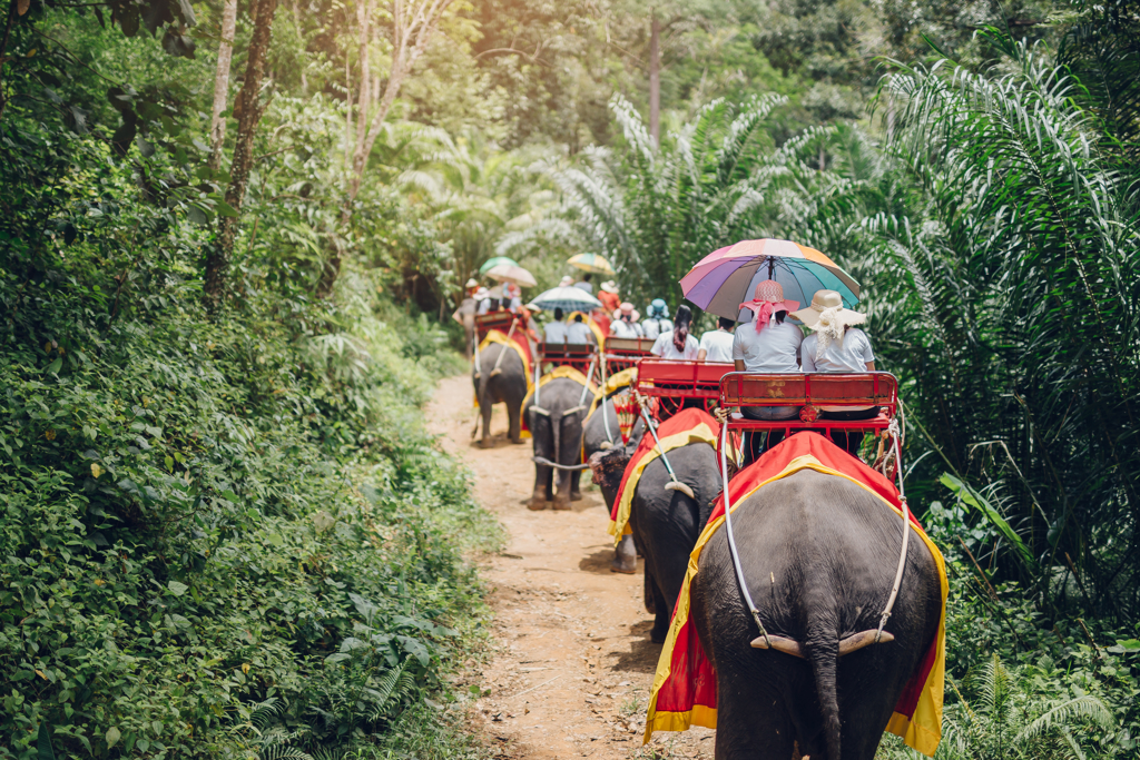 在泰国等东南亚国家，骑乘大象游览是常见的观光行程。（图／Shutterstock）(photo:ChinaTimes)
