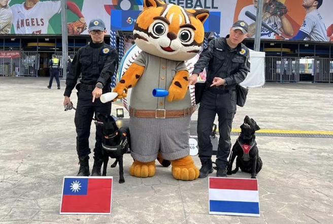 台中刑大警犬队双胞胎姊妹花「保庇」、「水饺」吃完整盘「义大利披萨」菜单，用行动力挺中华队，两姊妹也预测今日中华队对战荷兰将再次获胜。（警方提供）