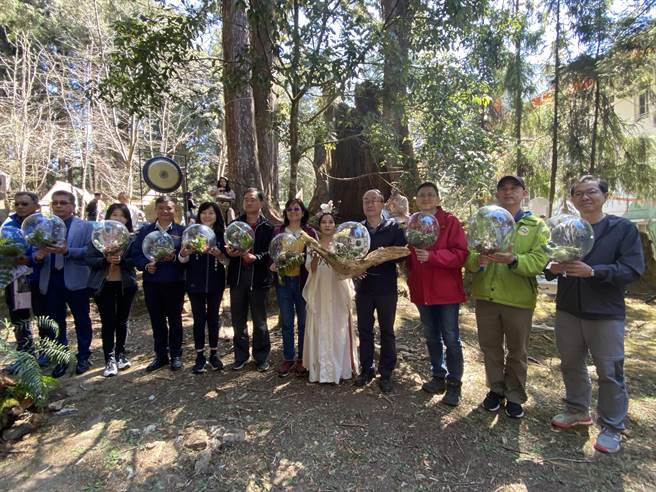 阿里山花季开幕活动在森林游乐区千岁桧平台举行。（廖素慧摄）