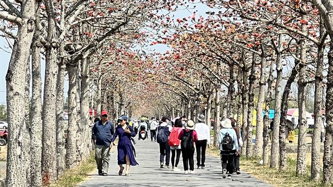 林初埤木棉花道全长866.5公尺，全区含周边种植约1.7公里、共715棵木棉树。（张毓翎摄）