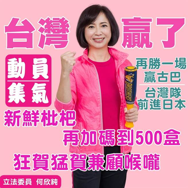 立委何欣纯在个人脸书粉丝页贴出祭品文，要送枇杷礼盒为中华队集气，更帮球迷们顾喉咙。（何欣纯提供／冯惠宜台中传真）