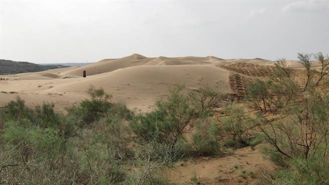 大陆去年完成造林383万公顷，并治理沙化石漠化土地184.73万公顷。（吴泓勋摄）