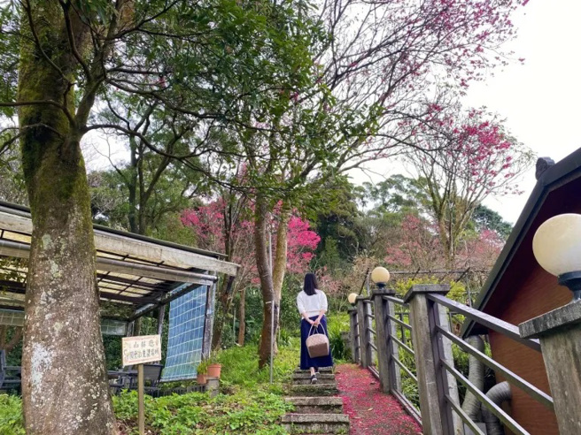 梅居遠離城市喧囂，可以享受山林間森呼吸、採摘香草的療癒感。（圖／行遍天下提供）