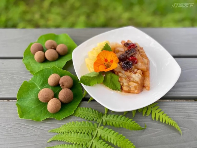 福圓苦瓜。（圖／行遍天下提供）