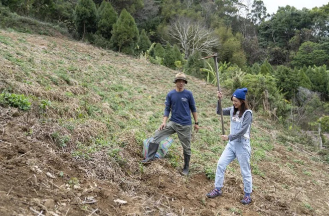 雲也居一食農體驗會帶遊客親自採摘新鮮、友善耕種的蔬菜水果。（圖／行遍天下提供）
