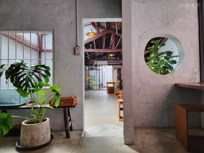 引進自然天光與綠意植栽，老屋煥然一新。（圖／行遍天下提供）