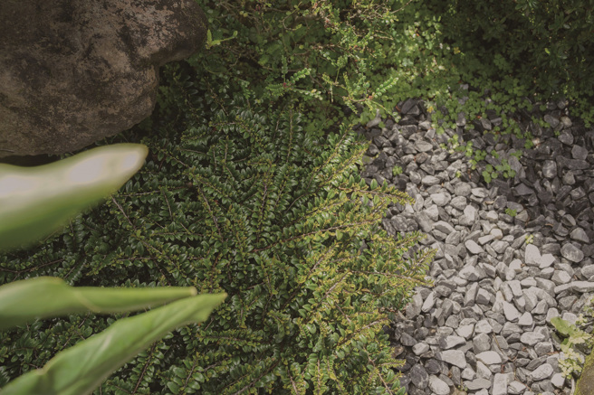 運用地被植物、草花類植物、矮灌木、小喬木構築成景觀庭園，營造出與大自然共生的環境。（攝影／Daniel）