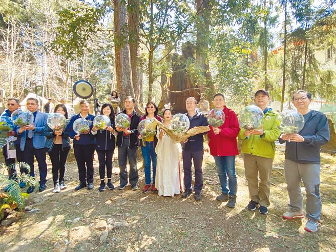 嘉义县阿里山花季开幕活动在森林游乐区千岁桧平台举行。（廖素慧摄）