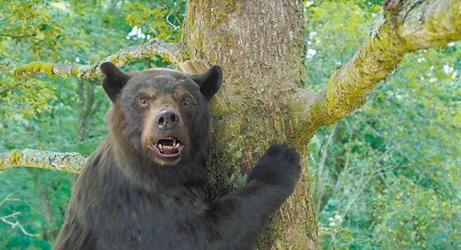 黑色喜剧《熊盖毒》，取材自真实事件。（UIP提供）