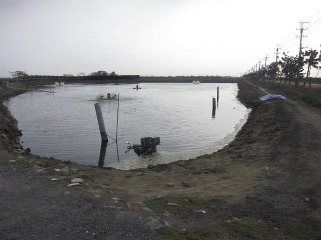 七股区民眾发现有人、车衝入鱼塭中。（读者提供／程炳璋台南传真）