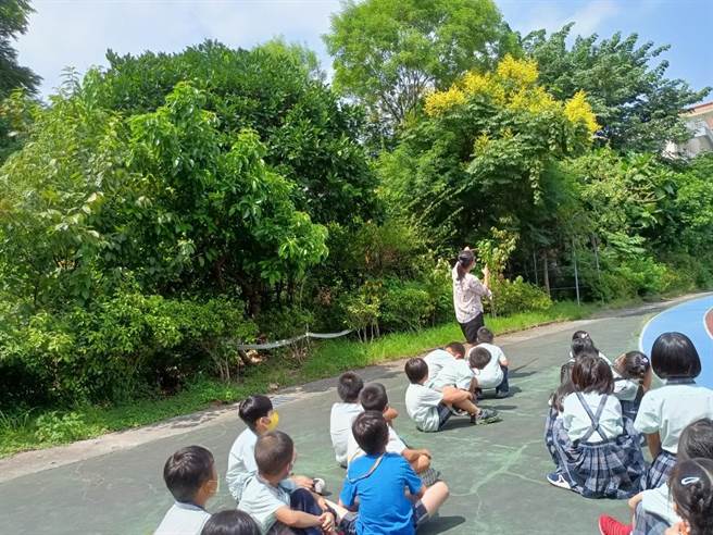 三重国小环境教学及校园自然情境俱佳-获奖教师正在校内生态园区进行教学。（新北市教育局提供）