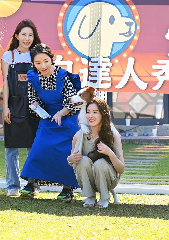 舒华被狗狗的才艺逗得哈哈大笑。（台视提供）