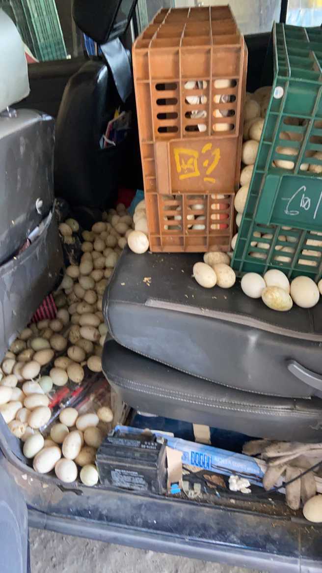 一名駕駛日前在車上載滿數籃雞蛋，因遇到臨時變換車道的轎車急煞後，車上3籃蛋全部撒出，副駕、後座地上全是雞蛋，蛋液沾滿整車。（翻攝自臉書「爆怨公社」）