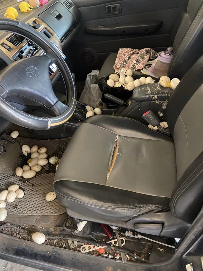 一名駕駛日前在車上載滿數籃雞蛋，因遇到臨時變換車道的轎車急煞後，車上3籃蛋全部撒出，副駕、後座地上全是雞蛋，蛋液沾滿整車。（翻攝自臉書「爆怨公社」）