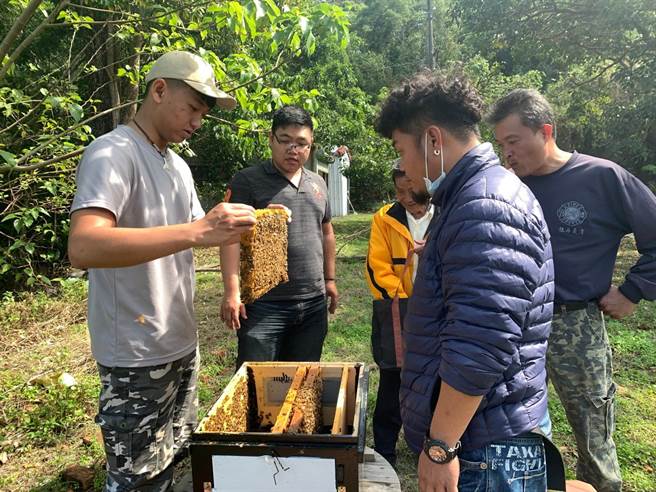 林務局為了友善環境、增加林農收益，推動林下經濟有成。（南投林管處提供／楊靜茹南投傳真）