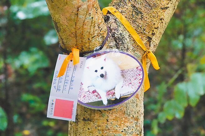 新北市动保处提供新北饲主免费宠物遗体集体火化及树葬服务。（新北市动保处提供／陈慰慈新北传真）