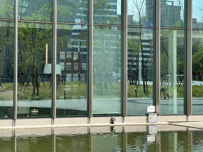 桃园市立图书馆新总馆的玻璃墙被不肖人士砸出蜘蛛网裂痕。（桃园市立图书馆提供／陈梦茹桃园传真）