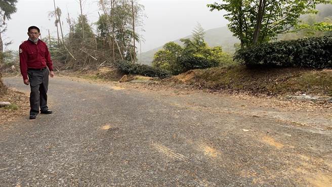 南投县鹿谷乡银杏森林山区产业道路错综复杂，此处为陈姓夫妻疑开车不慎坠谷地点。（民眾提供／杨静茹南投传真）