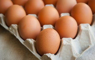 逾500萬顆雞蛋來了 月底「進口直進超市」 陳吉仲：10顆65元