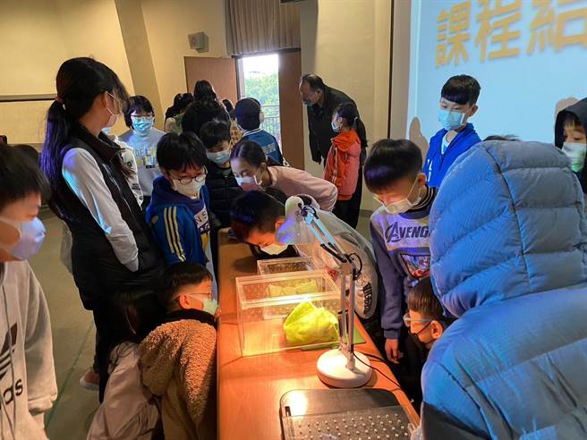 特寵講師洪慶翔直接帶自己養的陸龜、蜥蜴到校與學生互動。（新北市動保處提供）