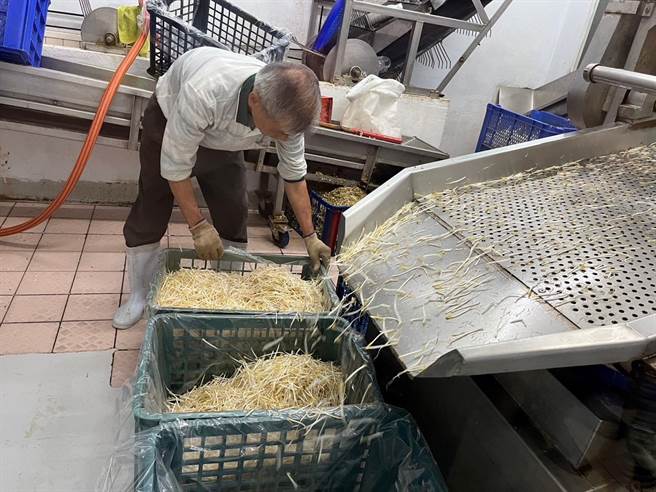 云林县全力推动地方创生，北港镇规画智能科技豆芽菜产业。（云林县政府提供／张朝欣云林传真）