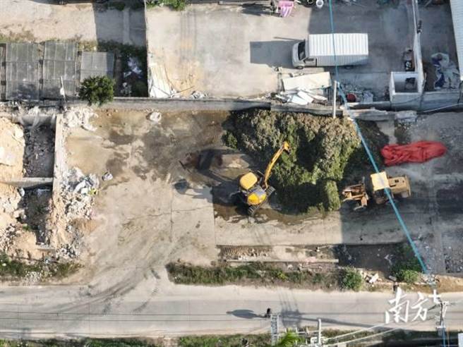 陆媒爆料腐菜变美味？汕头知名橄榄菜企业生产环境恶劣连夜被查。图为堆积在地上的芥菜，周边环境脏乱空照图。（南方日报、南方＋）