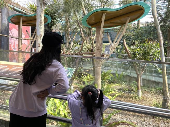 今日启用的新户外活动场，防逃围篱高度最低仅140公分。（蔡佩珈摄）