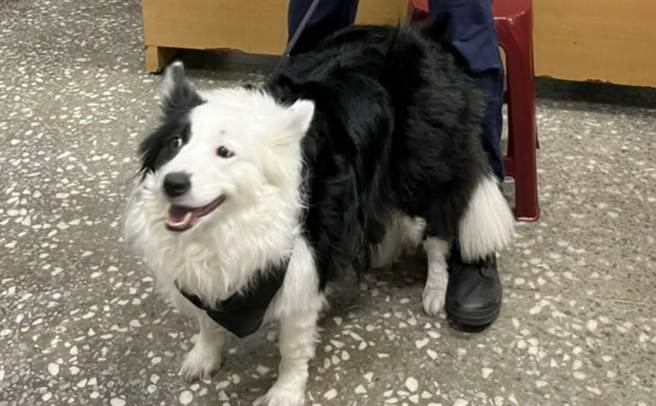 員警擔心嘿嘿口渴飢餓，特別準備罐頭和水給它吃。（警方提供）