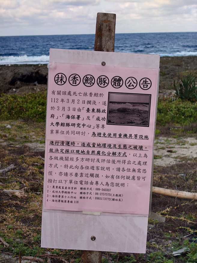 相关单位在现场架设告示牌。（图／兰屿大小事（112年）／简铭柱翻摄）