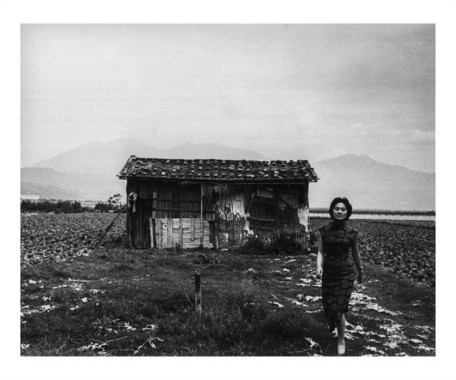 李鸣鵰， 台北社子，1950