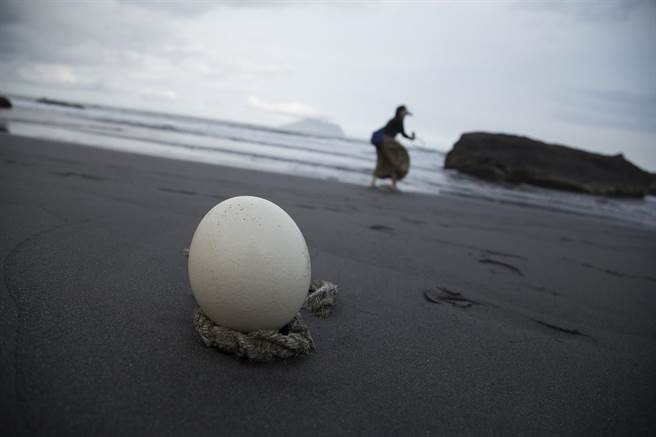 孙维瑄，迎风The Wind Rises ，2018
