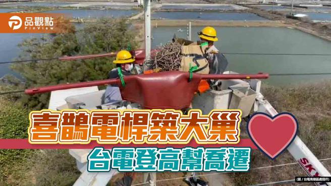电杆上80公分大鸟巢！台电高雄区处出动升空车帮喜鹊搬家！