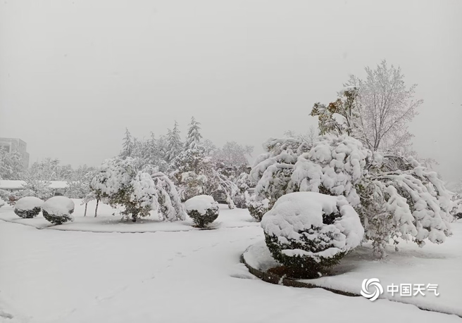 河南栾川县出现强降雪，当地气象臺已发布暴雪红色预警讯号，各地已出现房屋被压垮等灾情。（图／中国天气网）