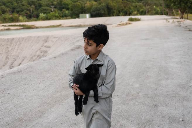 林诺的超龄演技，获得许多观眾讚赏。（采昌提供）