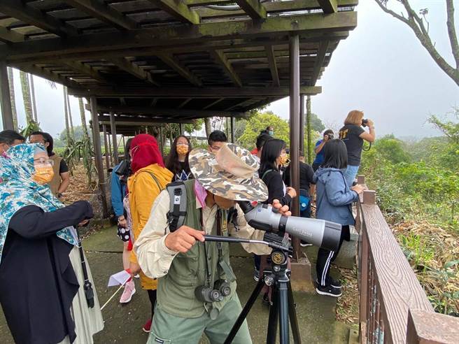 南投横山、八卦山赏鹰平台有鸟类专家驻点进行导览解说，带游客认识「灰面鵟鹰」等过境猛禽。（参山处提供／杨静茹南投传真）