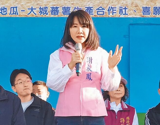 國民黨立委謝衣鳯將接任國民黨彰化縣黨部主委。（謝衣鳳提供／吳敏菁彰化傳真）