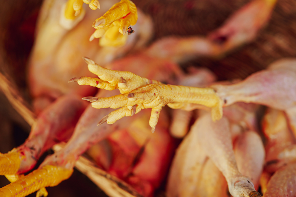 在埃及，鸡爪并非民众接受的食材。埃及经济恶化，政府建议民众改吃鸡爪，民怨大起。（图／Shutterstock）(photo:ChinaTimes)