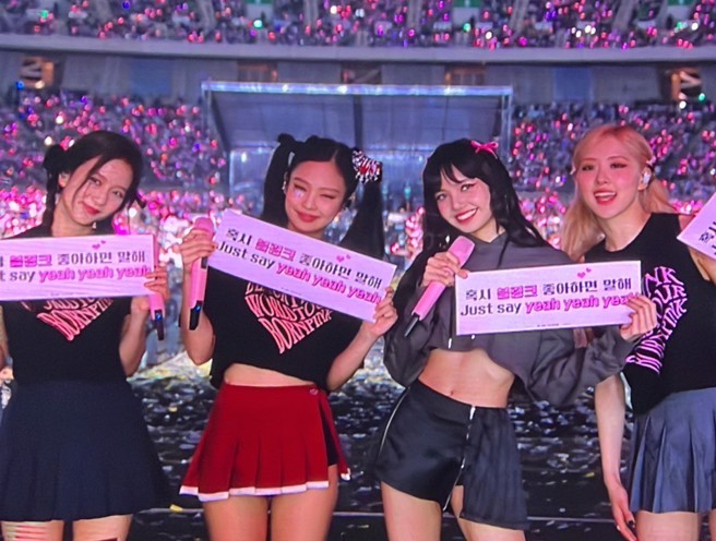 BLACKPINKEL演唱会时Rosé（右一）又再度因服装险些走光。（图／读者提供）