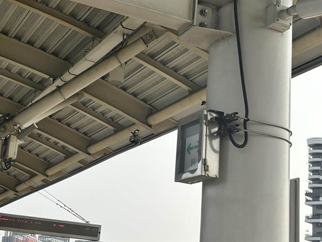 高捷青埔站因高架设计，加上四周农田，有许多鸟类觅食后都会在捷运站屋顶、梁柱上休息。（崔正纲摄）