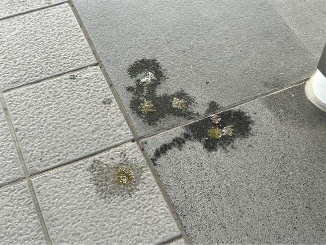 捷运站因鸟类过多，遍地都是鸟粪，月台地面、座位区都受到波及，令清洁人员表示「清不完！」。（崔正纲摄）