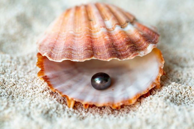 韩国YouTuber吃红蛤时意外发现黑珍珠，但因为被煮过了，没过几天珍珠就缩小，变得又乾又瘪。(示意图/达志影像)