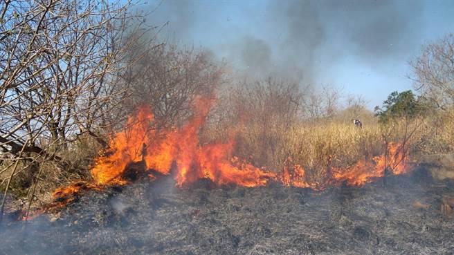 东势林区管理处将于3月25日、26日及4月1日在清水区横山公墓办理金纸集中焚烧活动。（东势处提供／陈淑娥台中传真）