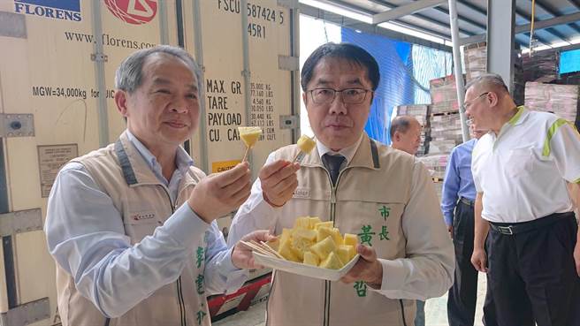 台南市长黄伟哲（右）品尝今年外销香港的关庙凤梨。（程炳璋摄）