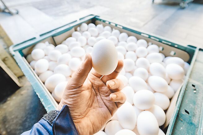 蛋荒问题未解，本周蛋价再冻涨。（本报资料照片）