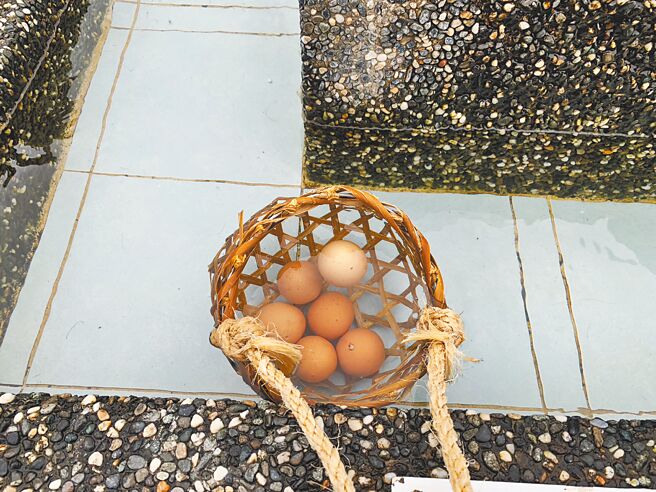 宜兰清水地热公园因鸡蛋没涨价，引来一股抢购潮，业者只好暂时停止零售鸡蛋，改贩售套餐组合，待大盘商正常供应后才恢復零售鸡蛋。（宜兰清水地热公园业者提供／吴佩蓉宜兰传真）