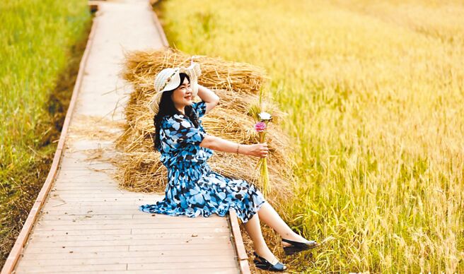 游客穿梭在黄澄澄的麦田中拍照取景，业者认为黄金山麦深具潜力，预计25日开园迎宾。（戴宗权提供／杨静茹南投传真）