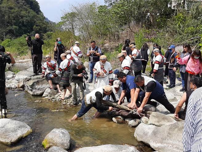苗栗县泰安乡公所20日举行传统泰雅族祈雨祭典，在溪边杀猪来祭祀。（泰安乡公所提供／谢明俊苗栗传真）